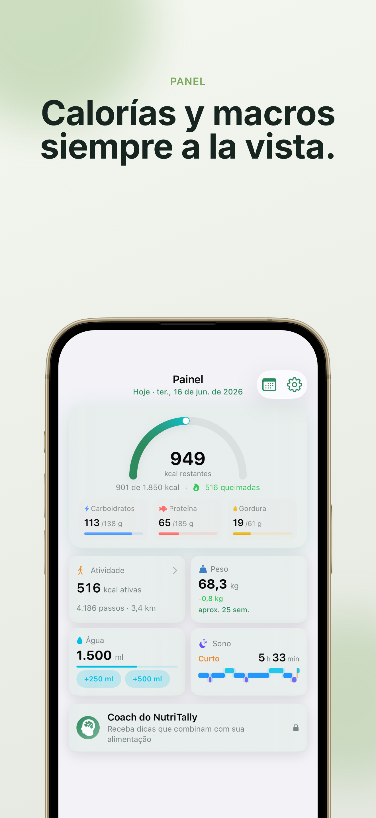 Panel